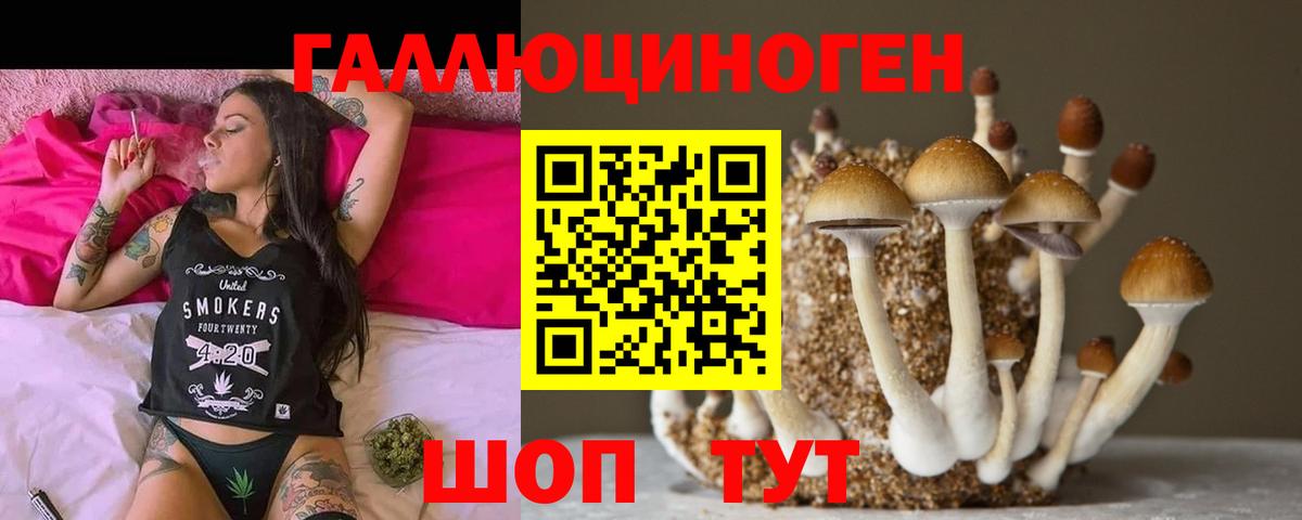 Галлюциногенные грибы Psilocybe Армавир