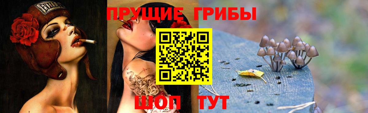 Армавир  Псилоцибиновые грибы GOLDEN TEACHER  Вход с VPN 